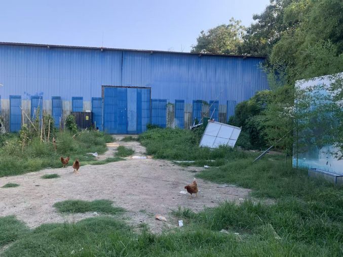 长安子午大道附近300平厂房带3亩空地独门独院